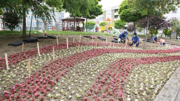 Samsun’da parklar rengarenk 