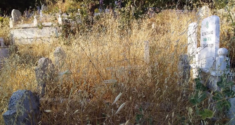 Havza’da mezarlıkların bakımsızlığı vatandaşı çileden çıkarttı