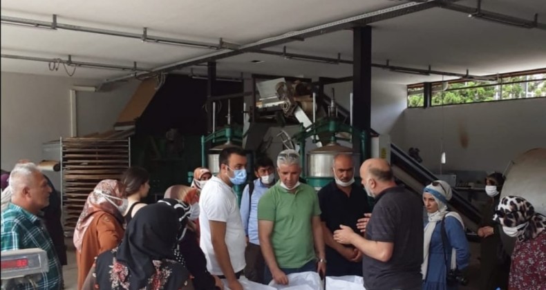 ŞEHİT AİLELERİ OF NATURALDA