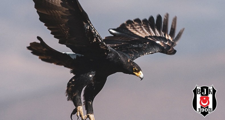 Kartal son saniyede yıkıldı: 3-3