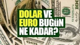Dolar ve euro yıl içi zirvelerini yeniledi