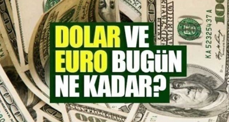 Dolar ve euro yıl içi zirvelerini yeniledi