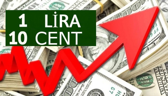Dolar kurunda son durum