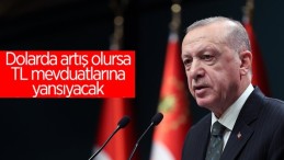 Cumhurbaşkanı Erdoğan: TL’yi dövize geçirmeye gerek kalmayacak