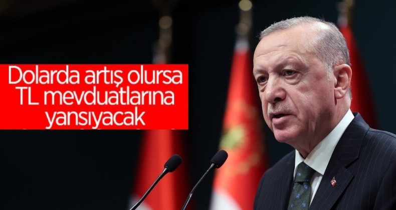 Cumhurbaşkanı Erdoğan: TL’yi dövize geçirmeye gerek kalmayacak