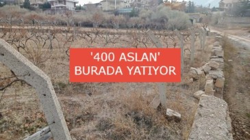 Şehitliği üzüm bağı yapmışlar!