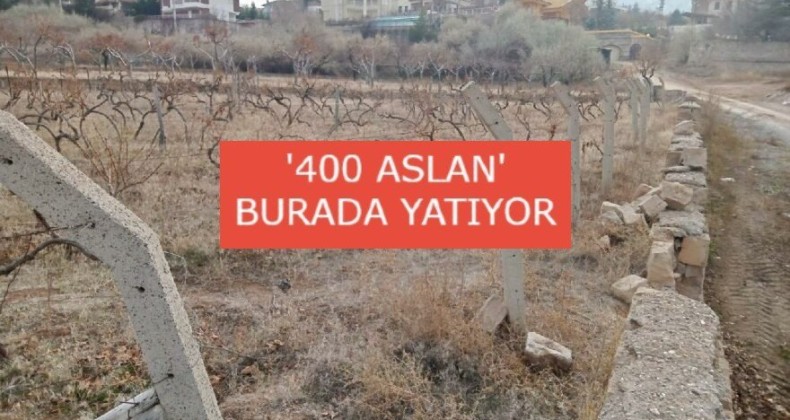 Şehitliği üzüm bağı yapmışlar!