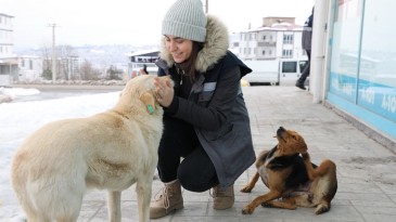 Can dostlar için seferber oldular