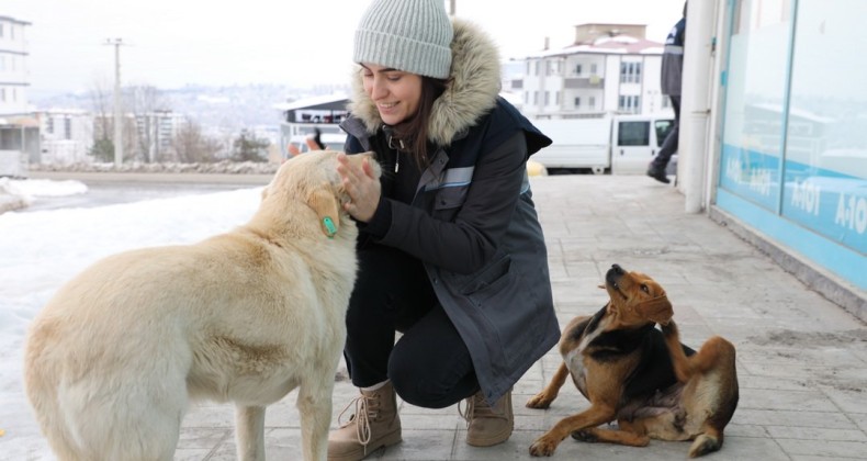 Can dostlar için seferber oldular