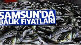 Samsun’da balıkçılar fiyatlardan mutlu!