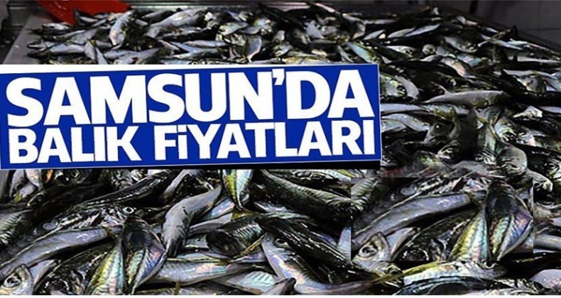 Samsun’da balıkçılar fiyatlardan mutlu!