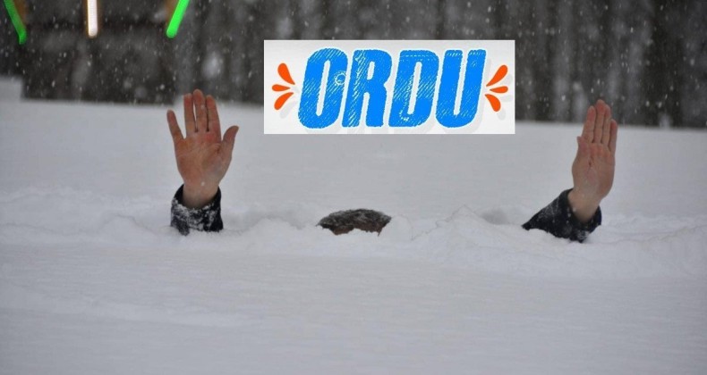 Ordu’da kar insan boyunu geçti