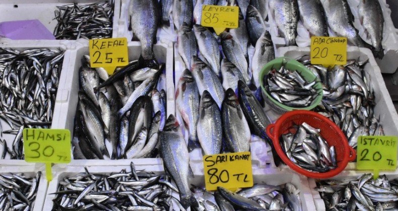 Balık fiyatları el yakıyor