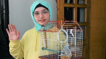 Belediyeden ‘Muhabbet Kuşu’ istedi