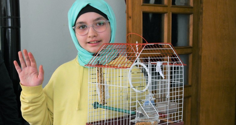 Belediyeden ‘Muhabbet Kuşu’ istedi