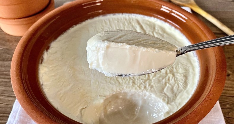 İlk yoğurt nasıl yapıldı? İlk yoğurt mayası nasıl üretildi ?