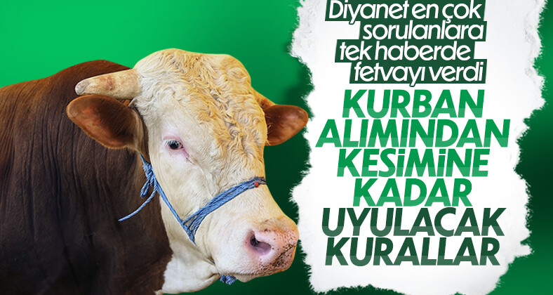 Kurban ibadeti ile ilgili dikkat edilmesi gerekenler