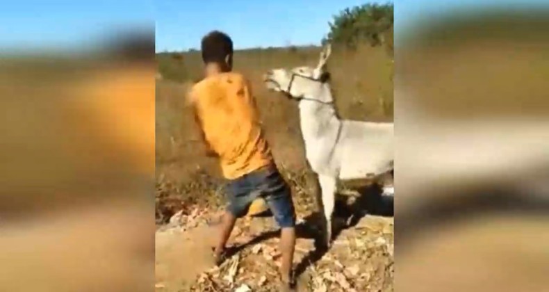 Tekme tokat vurduğu eşeğin intikamı acı oldu