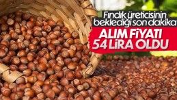 Cumhurbaşkanı Erdoğan fındık alım fiyat ortalamasını açıkladı