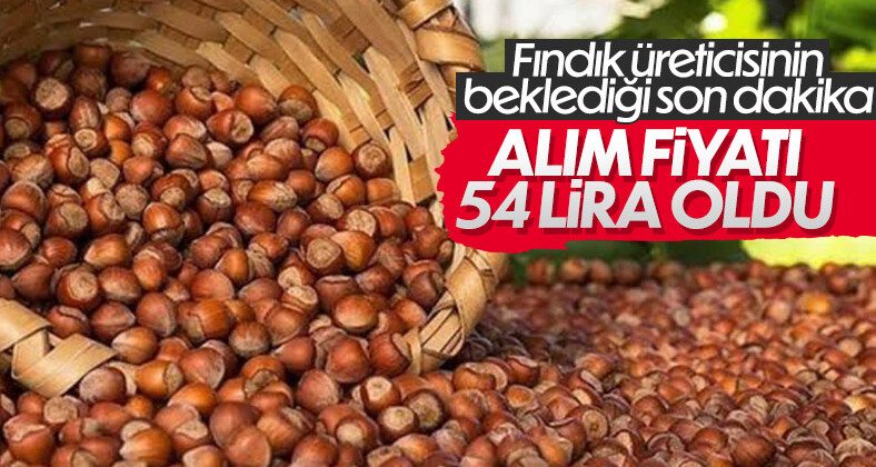 Cumhurbaşkanı Erdoğan fındık alım fiyat ortalamasını açıkladı