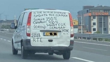 Ordulu gurbetçinin fındık işçisi tepkisi