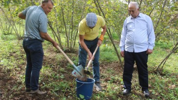 Tekkeköy’de tarıma bilimsel dokunuş