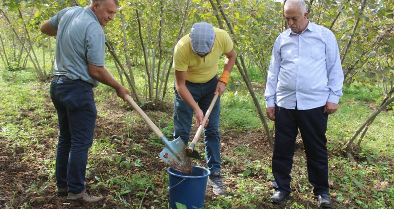 Tekkeköy’de tarıma bilimsel dokunuş