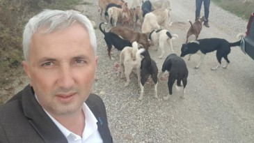Samsun’da sokak hayvanları unutulmadı