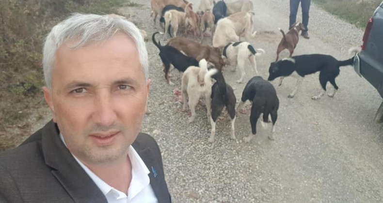 Samsun’da sokak hayvanları unutulmadı