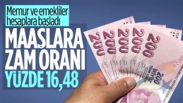 Memur ve emeklinin maaş zammı için enflasyon farkı belli oldu