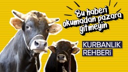 Kurbanlık seçiminde dikkat edilmesi gereken hususlar