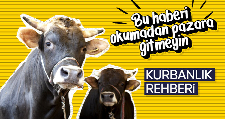 Kurbanlık seçiminde dikkat edilmesi gereken hususlar