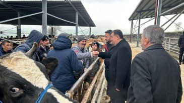 Cumhur İttifakı Havza Belediye Başkan Adayı İkiz; “Hayvancılıkta bölgede lider olacağız”