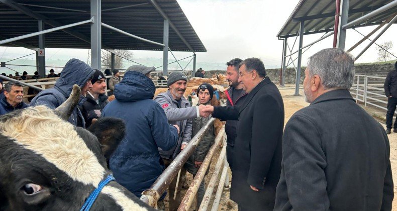 Cumhur İttifakı Havza Belediye Başkan Adayı İkiz; “Hayvancılıkta bölgede lider olacağız”