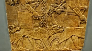 Hz. Peygamber’den köpekler ile mücadele talimatı