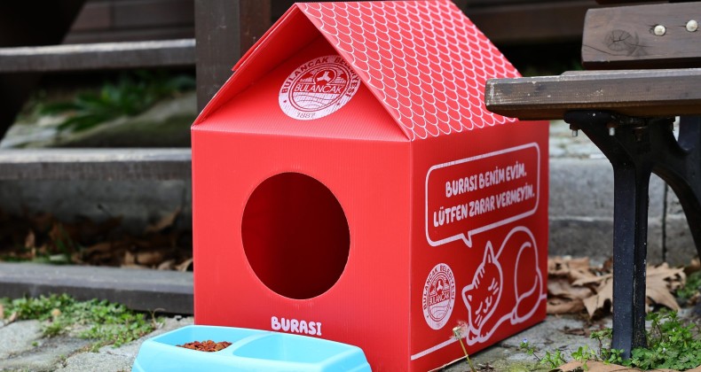 Bulancak Belediyesinden Küçük Patilere Sıcak Yuva Hizmeti