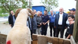 Canik Belediyesi Kurban Pazarı’na Büyük Rağbet