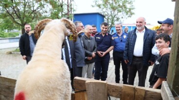 Canik Belediyesi Kurban Pazarı’na Büyük Rağbet