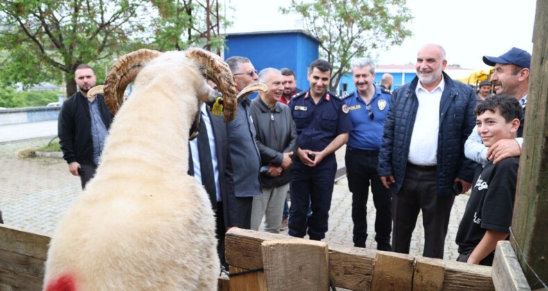 Canik Belediyesi Kurban Pazarı’na Büyük Rağbet