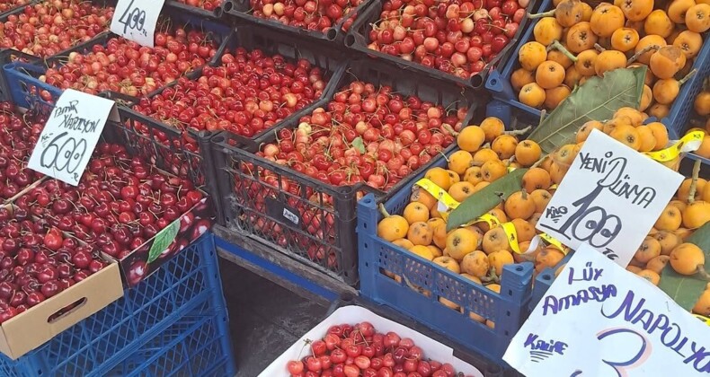 SAMSUN’DA YAZ MEYVELERİ TEZGAHLARI SÜSLÜYOR, KİRAZ CEP YAKIYOR